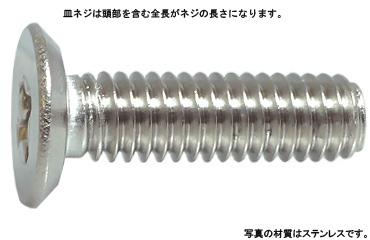 十字穴付(+)皿アンダーカット(並目