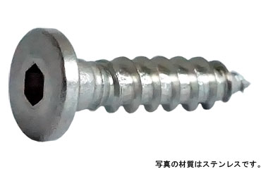 極低頭A平タッピン(六角穴)